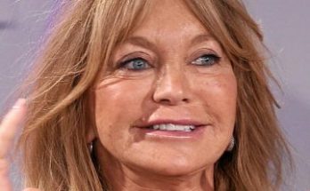 Goldie Hawn Without Cosmetics