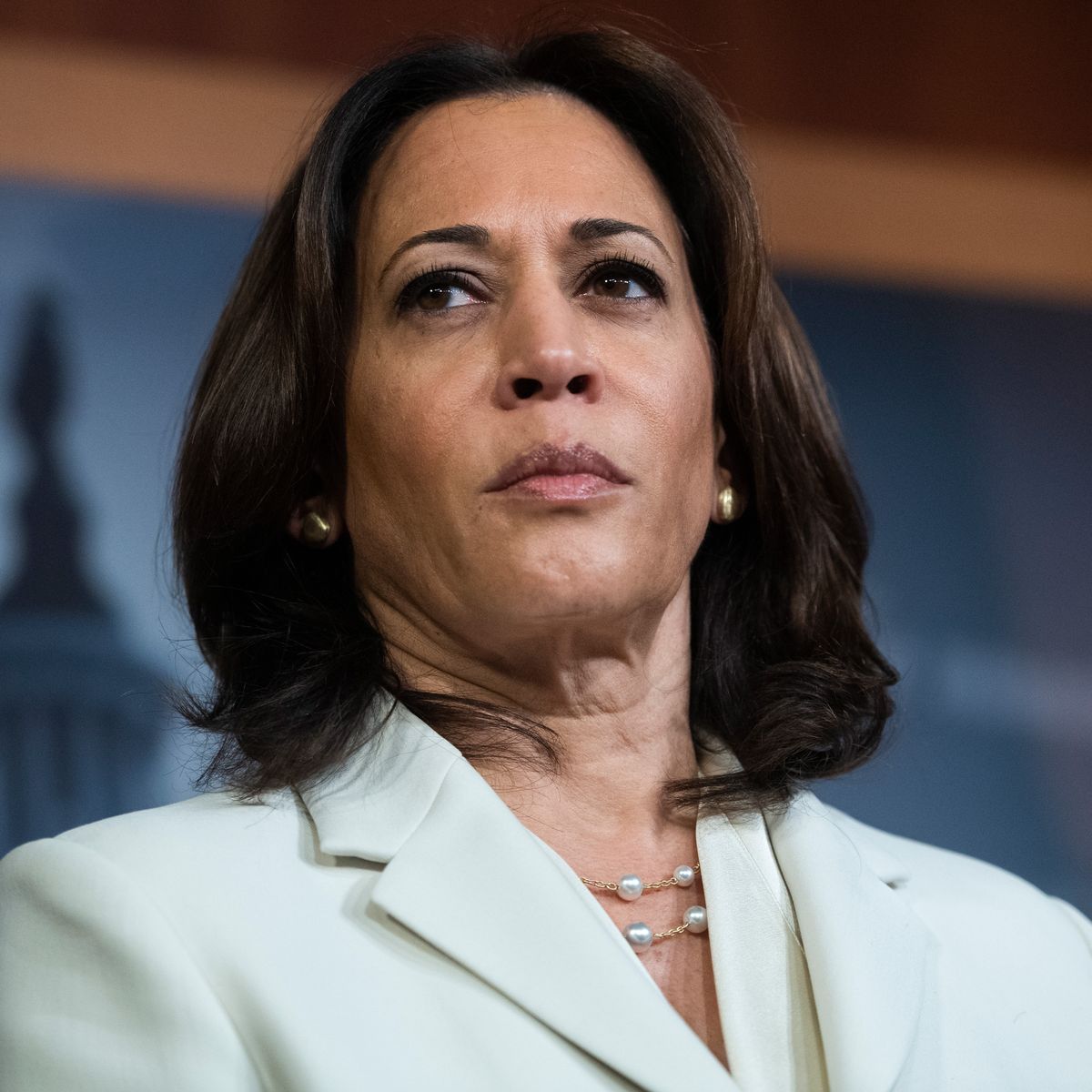 Kamala Harris Without Makeup - No Makeup Pictures - Makeup-Free Celebs